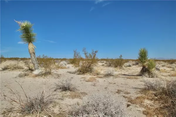 Joshua Tree, CA 92252,0 Moonlight Mesa