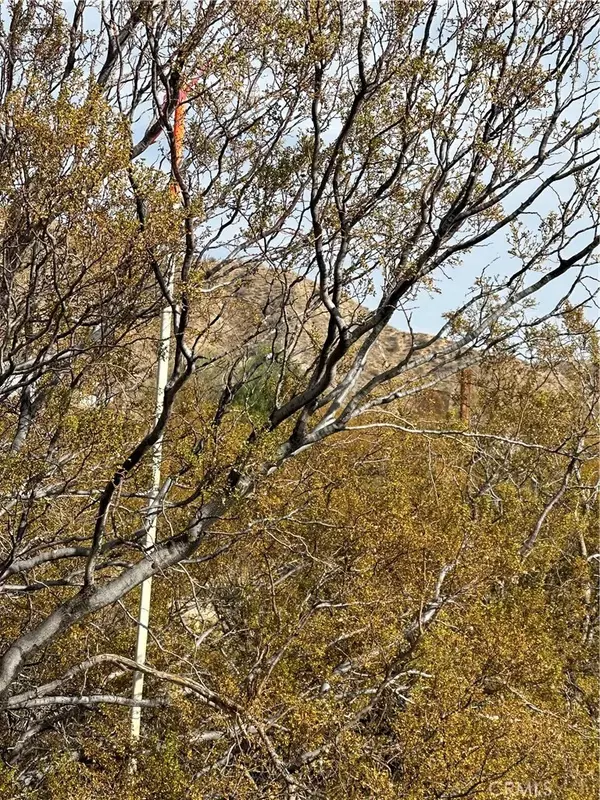 Morongo Valley, CA 92256,12345 29 Palms