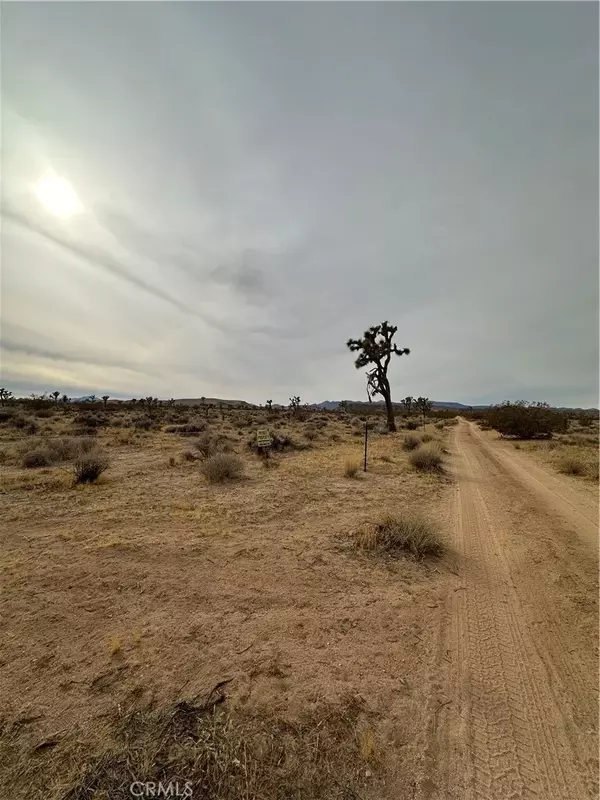 Yucca Valley, CA 92284,0 Canterbury