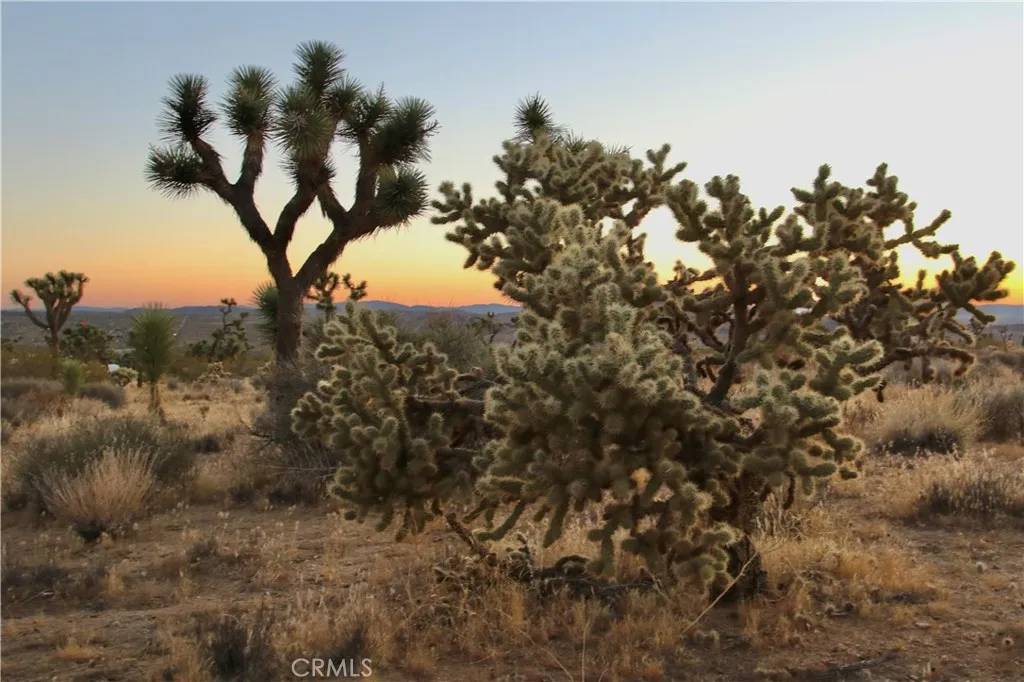 7635 La Contenta, Joshua Tree, CA 92284
