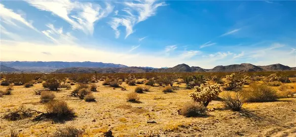 Joshua Tree, CA 92252,62259 Dixie