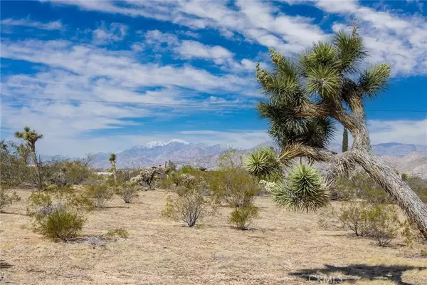 Yucca Valley, CA 92284,7411 Alaba Avenue