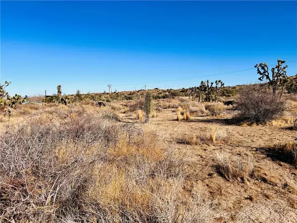 Yucca Valley, CA 92284,5188 Mormon