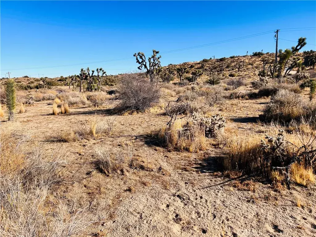 Yucca Valley, CA 92284,5188 Mormon