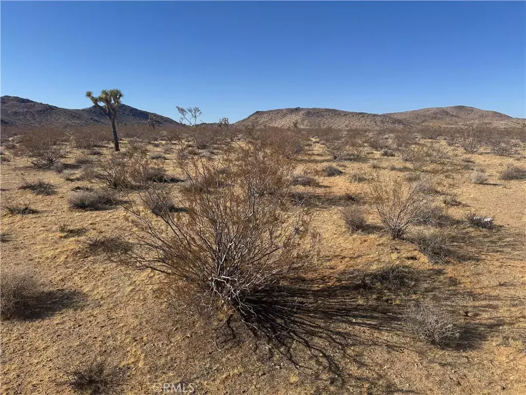 Yucca Valley, CA 92284,0 Off of Alta