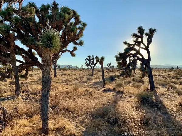 Yucca Valley, CA 92284,777 La Brisa