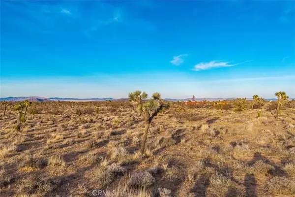 Yucca Valley, CA 92284,57016 Aberdeen