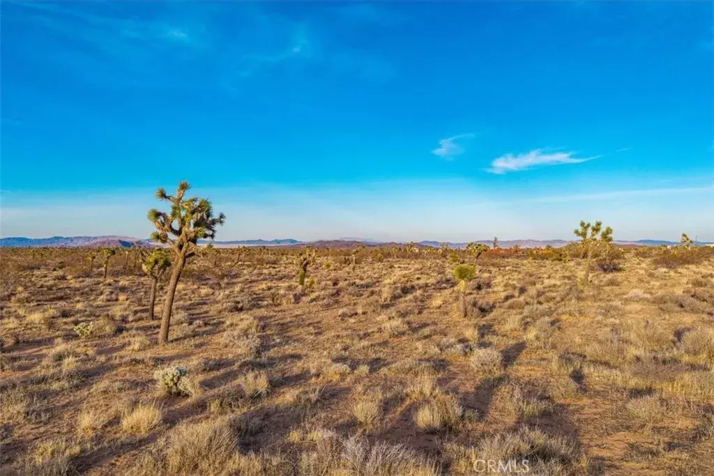 Yucca Valley, CA 92284,57016 Aberdeen