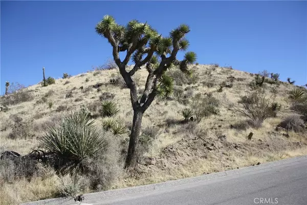 Yucca Valley, CA 92284,56448 Skyline Ranch