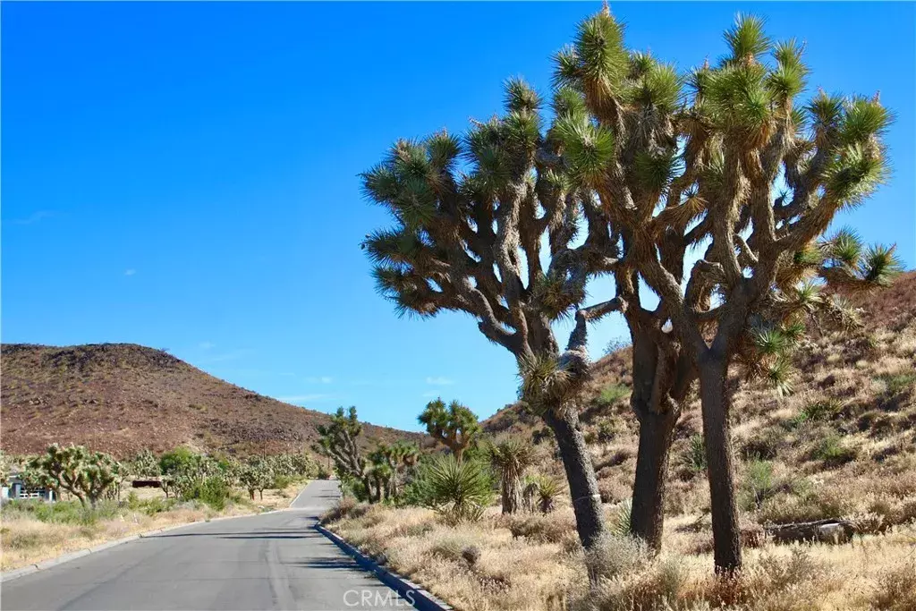 Yucca Valley, CA 92284,56448 Skyline Ranch