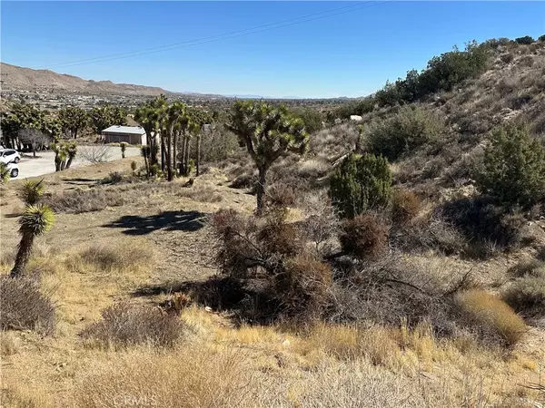 Yucca Valley, CA 92284,0 Pinon