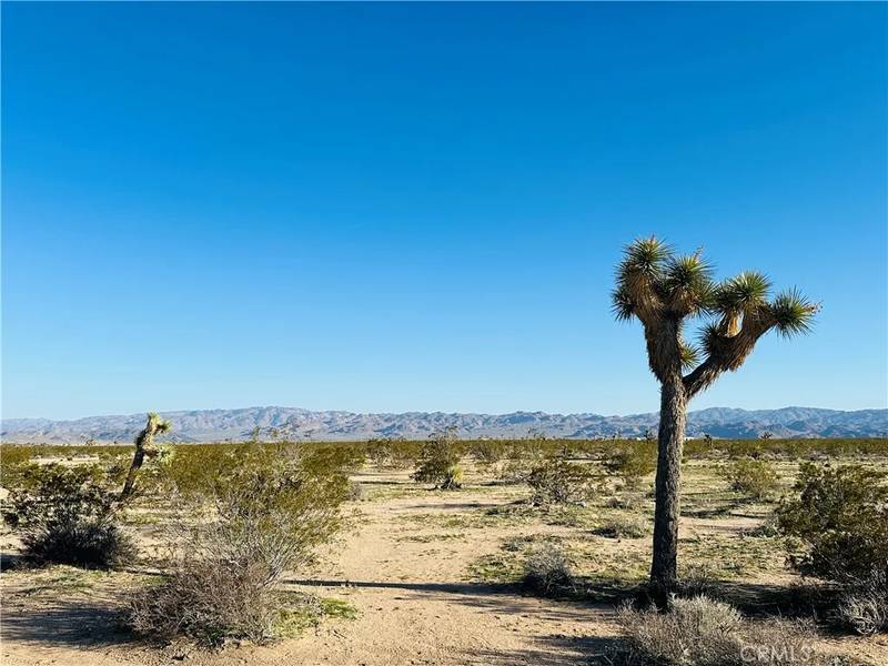 1974 Sunset, Joshua Tree, CA 92252