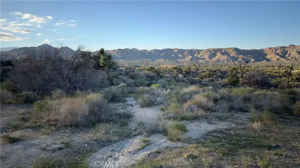 55370 Bunny, Yucca Valley, CA 92284
