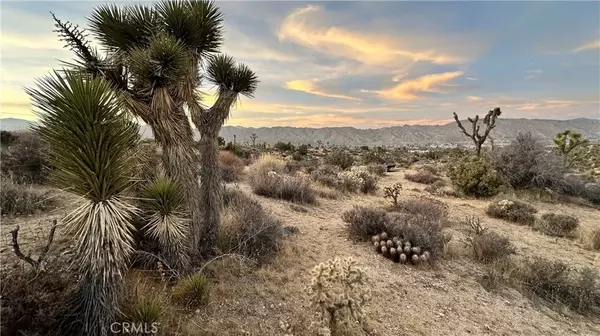 Yucca Valley, CA 92284,55370 Bunny