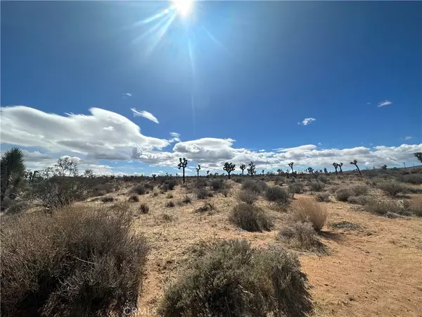 Yucca Valley, CA 92284,77777 Sunny Sands