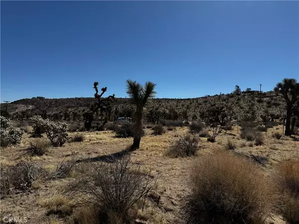 Yucca Valley, CA 92284,0 Faith