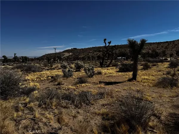 Yucca Valley, CA 92284,0 Faith