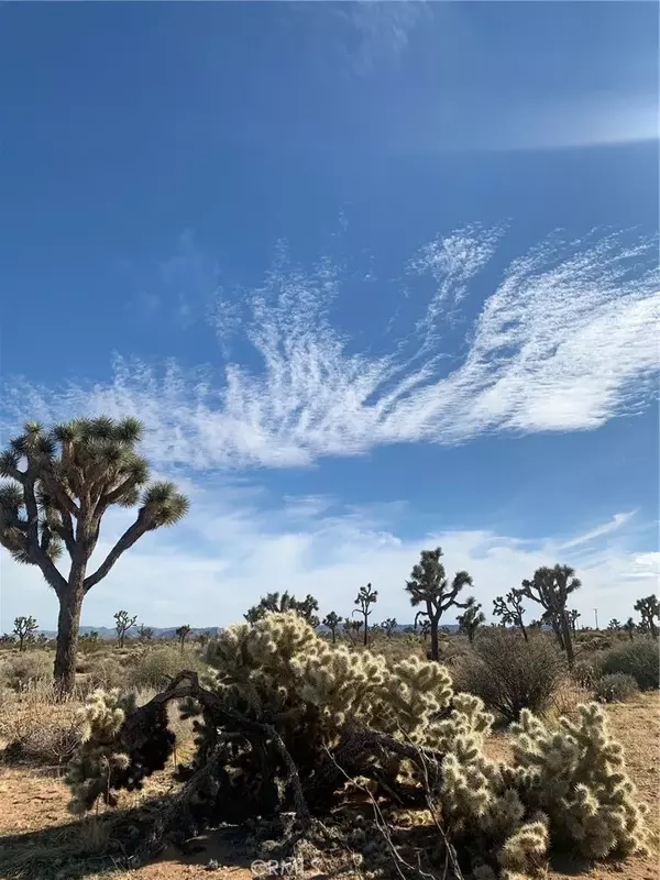 Yucca Valley, CA 92284,57816 Pajara