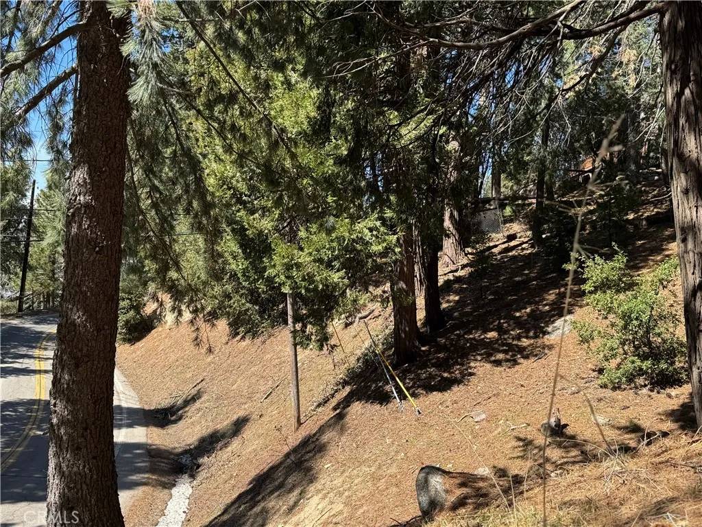 0 North, Twin Peaks, CA 92391