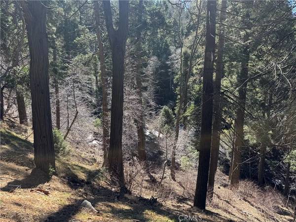 0 Sunderland, Lake Arrowhead, CA 92352