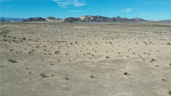 29 Palms, CA 92277,0 Wilson