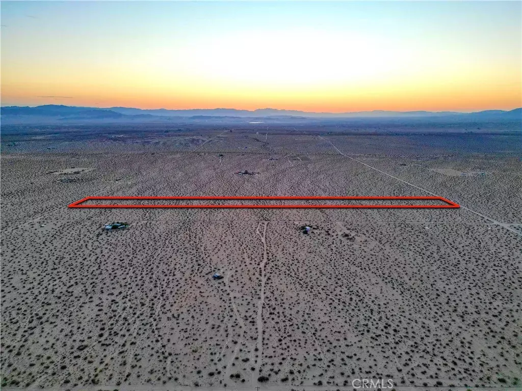 Joshua Tree, CA 92252,10 Learco