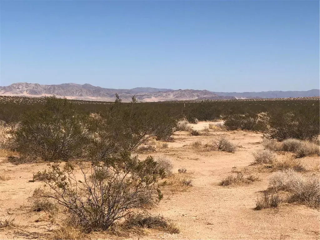 Joshua Tree, CA 92252,0 Near Daisy