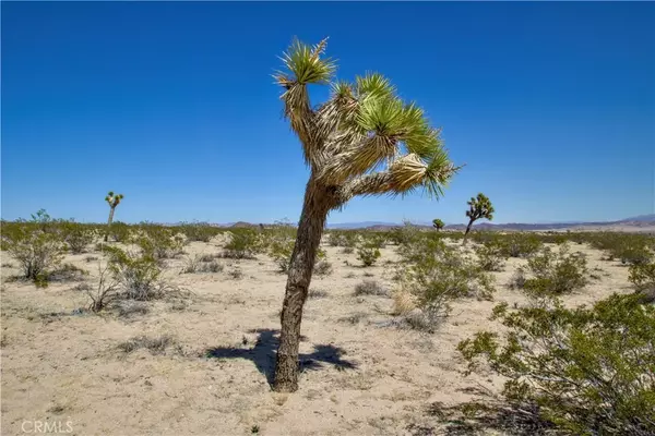 2625 Sunset, Joshua Tree, CA 92252