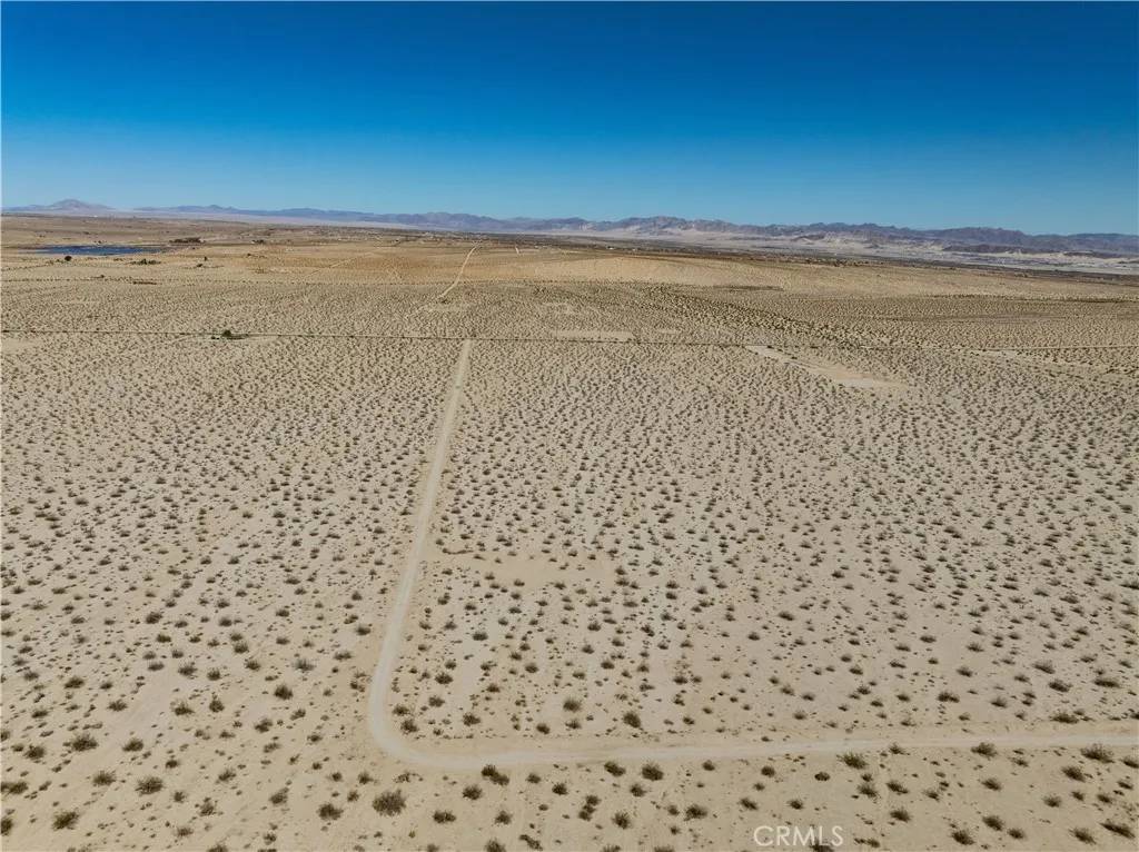 29 Palms, CA 92277,0 Pampas