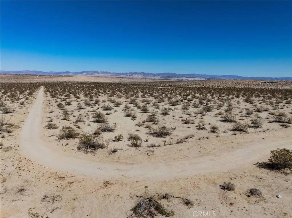 29 Palms, CA 92277,0 Pampas