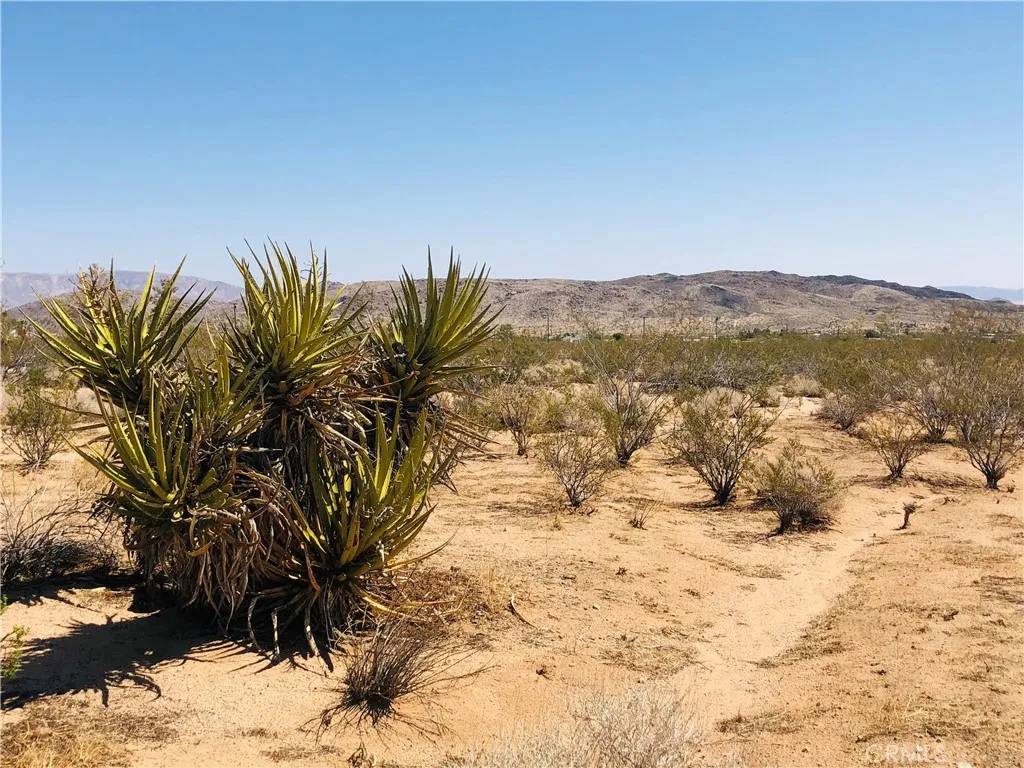 2 Geronimo, Landers, CA 92285