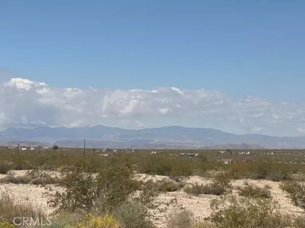 Joshua Tree, CA 92252,0 Daisy