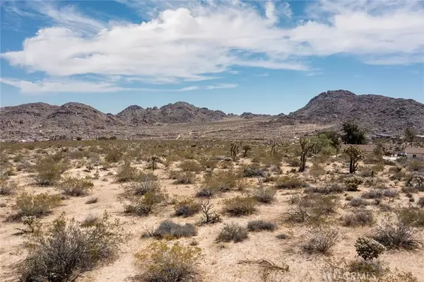 Joshua Tree, CA 92252,4444 Skyline