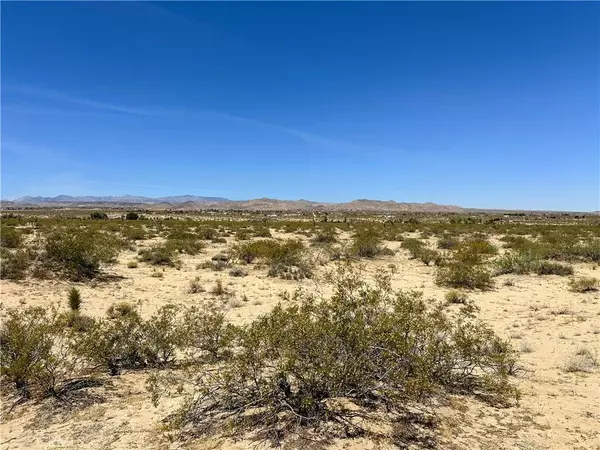 Landers, CA 92285,0 Amargo