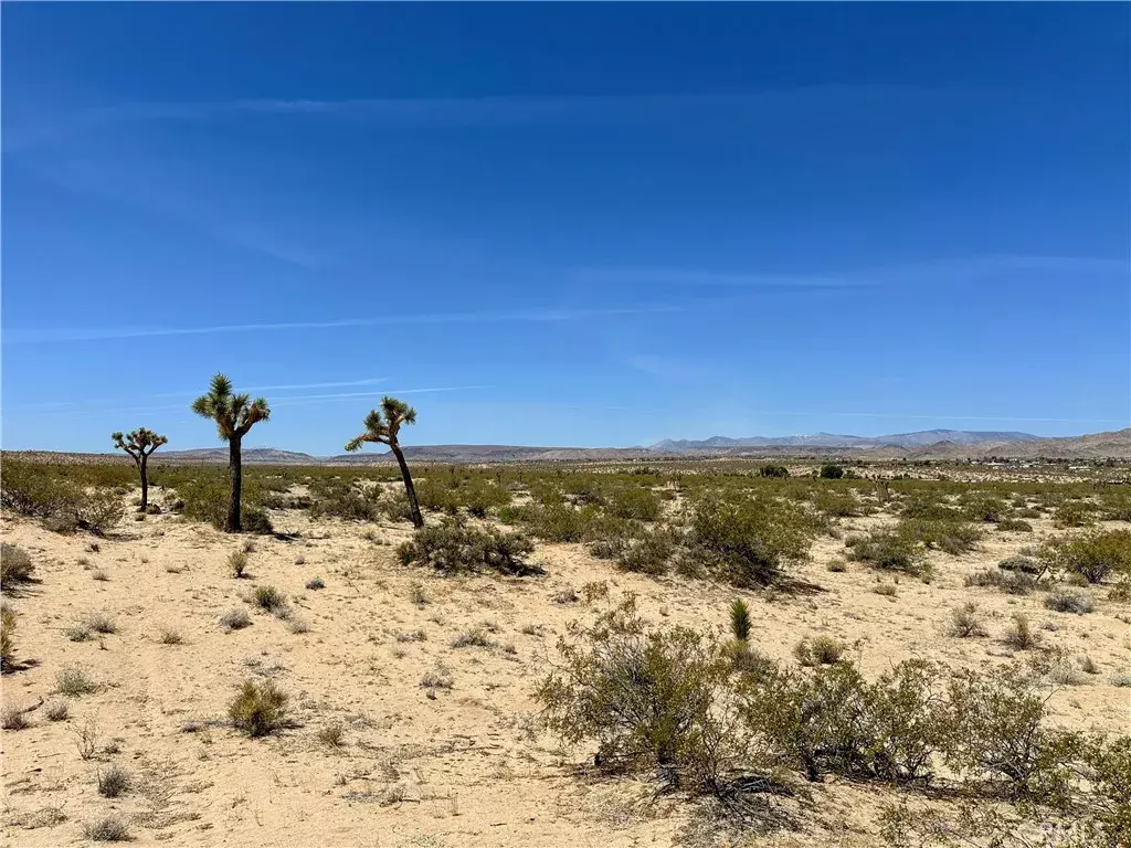 Landers, CA 92285,0 Amargo