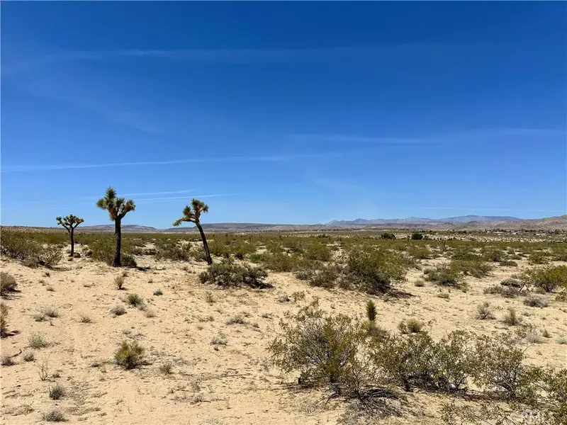 0 Amargo, Landers, CA 92285