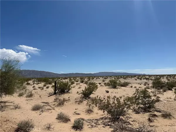 29 Palms, CA 92277,1 Ruby