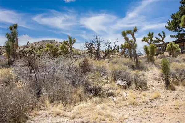 Yucca Valley, CA 92284,8385 Elk