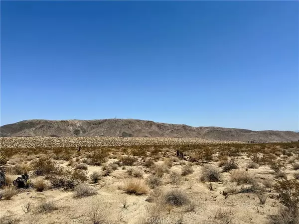 Joshua Tree, CA 92252,67000 29 Palms