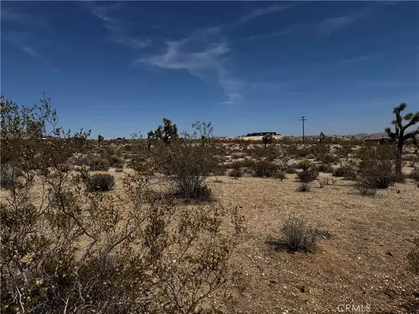 Yucca Valley, CA 92284,0 Anita