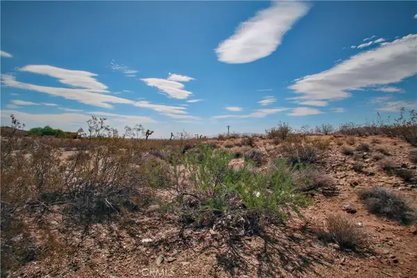 Joshua Tree, CA 92252,60024 La Brisa