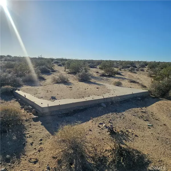 123 Desert Flower Ave, 29 Palms, CA 92277