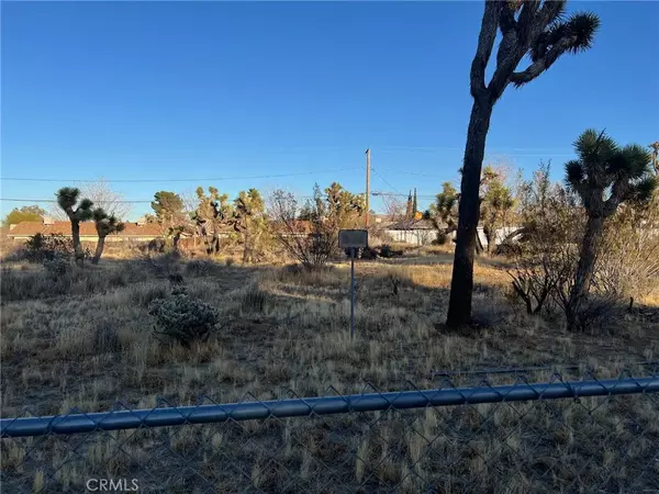 Yucca Valley, CA 92284,0 Deer