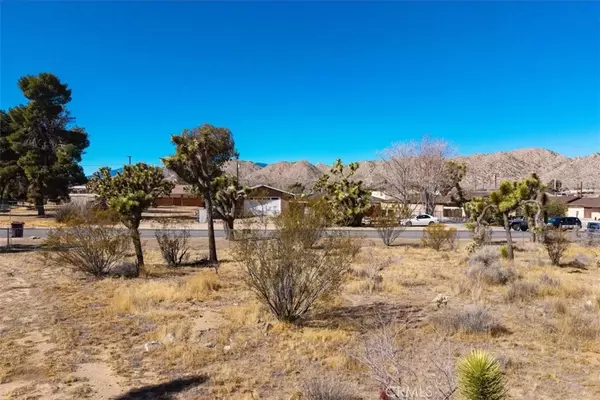 Yucca Valley, CA 92284,0 Deer