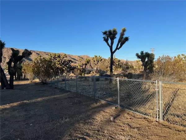 Yucca Valley, CA 92284,0 Deer