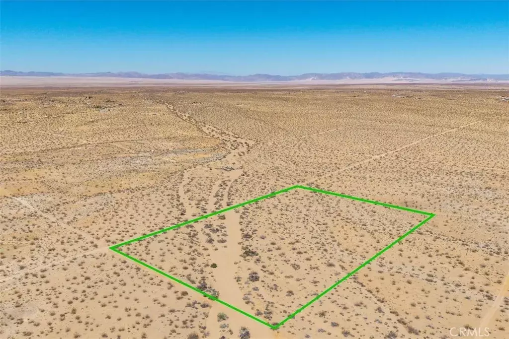 Joshua Tree, CA 92252,411 Willie