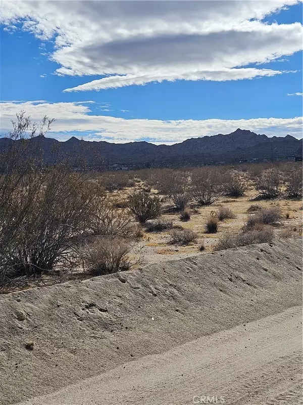 Joshua Tree, CA 92252,0 California