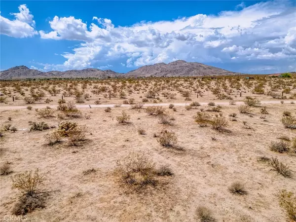 Joshua Tree, CA 92252,4687 Border