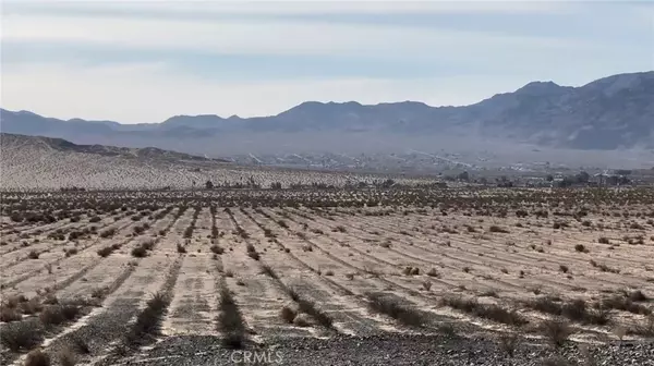 29 Palms, CA 92277,0 Bagdad