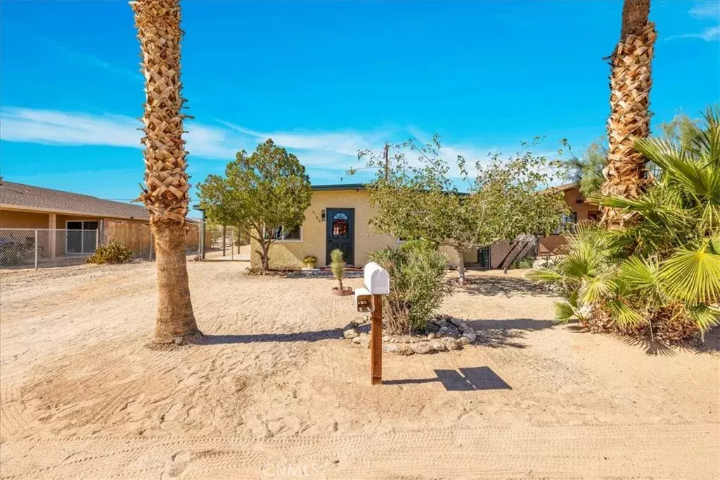 29 Palms, CA 92277,6186 Abronia